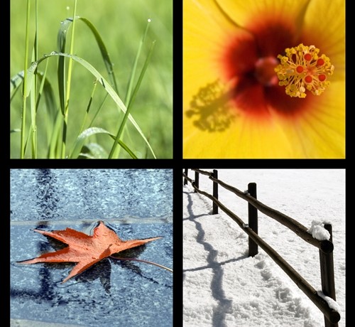 dreamstime_xl_7455776-custom-500x460
