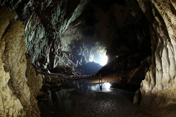 Deer-main-passage-view-434c6