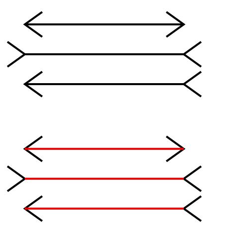 Muller illusion