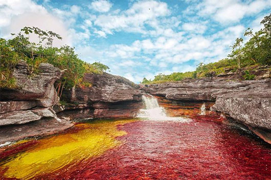 cano-cristales