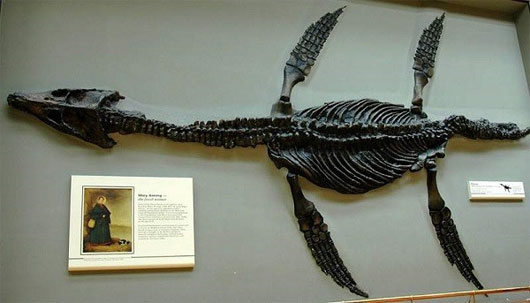 mary-anning1
