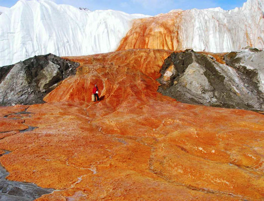 taylor-glacier