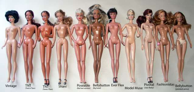 Tìm hiểu kích thước búp bê Barbie
